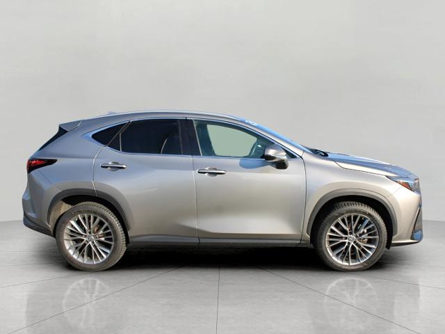 2022 Lexus NX Vehicle Photo in MADISON, WI 53713-3220