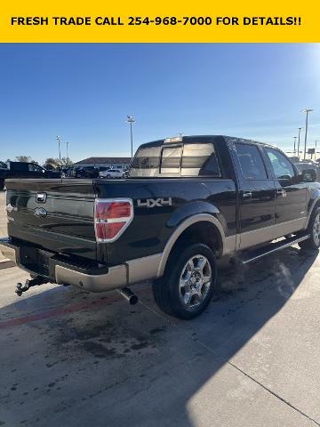 2014 Ford F-150 Vehicle Photo in STEPHENVILLE, TX 76401-3713