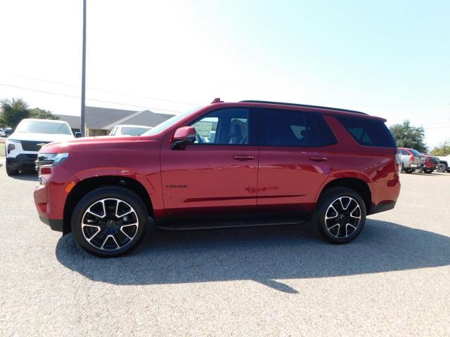 2024 Chevrolet Tahoe Vehicle Photo in GATESVILLE, TX 76528-2745