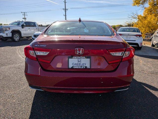 2019 Honda Accord Sedan Vehicle Photo in Greeley, CO 80634-8763