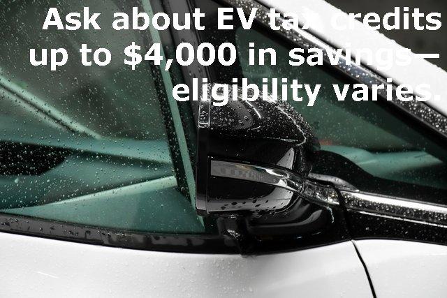 2020 Chevrolet Bolt EV Vehicle Photo in EVERETT, WA 98203-5662