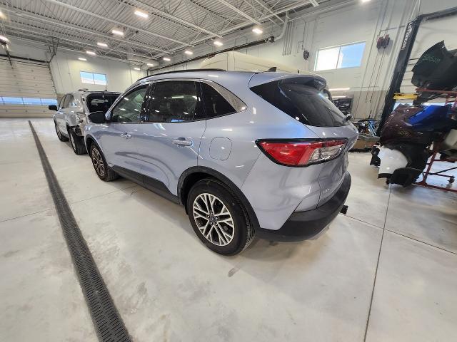 2022 Ford Escape Vehicle Photo in MADISON, WI 53713-3220