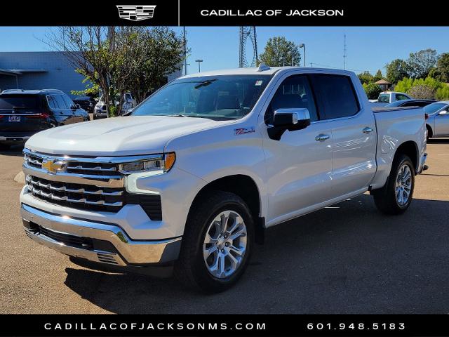 2023 Chevrolet Silverado 1500 Vehicle Photo in RIDGELAND, MS 39157-4406