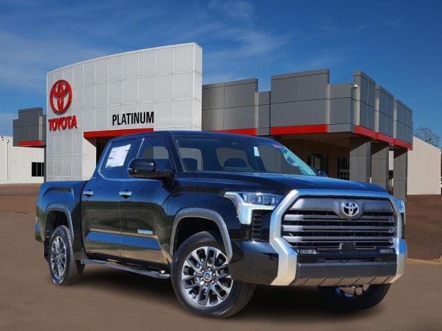 2024 Toyota Tundra 4WD Vehicle Photo in Denison, TX 75020