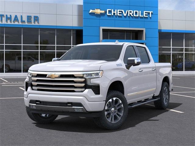 2025 Chevrolet Silverado 1500 Vehicle Photo in GLENWOOD, MN 56334-1123