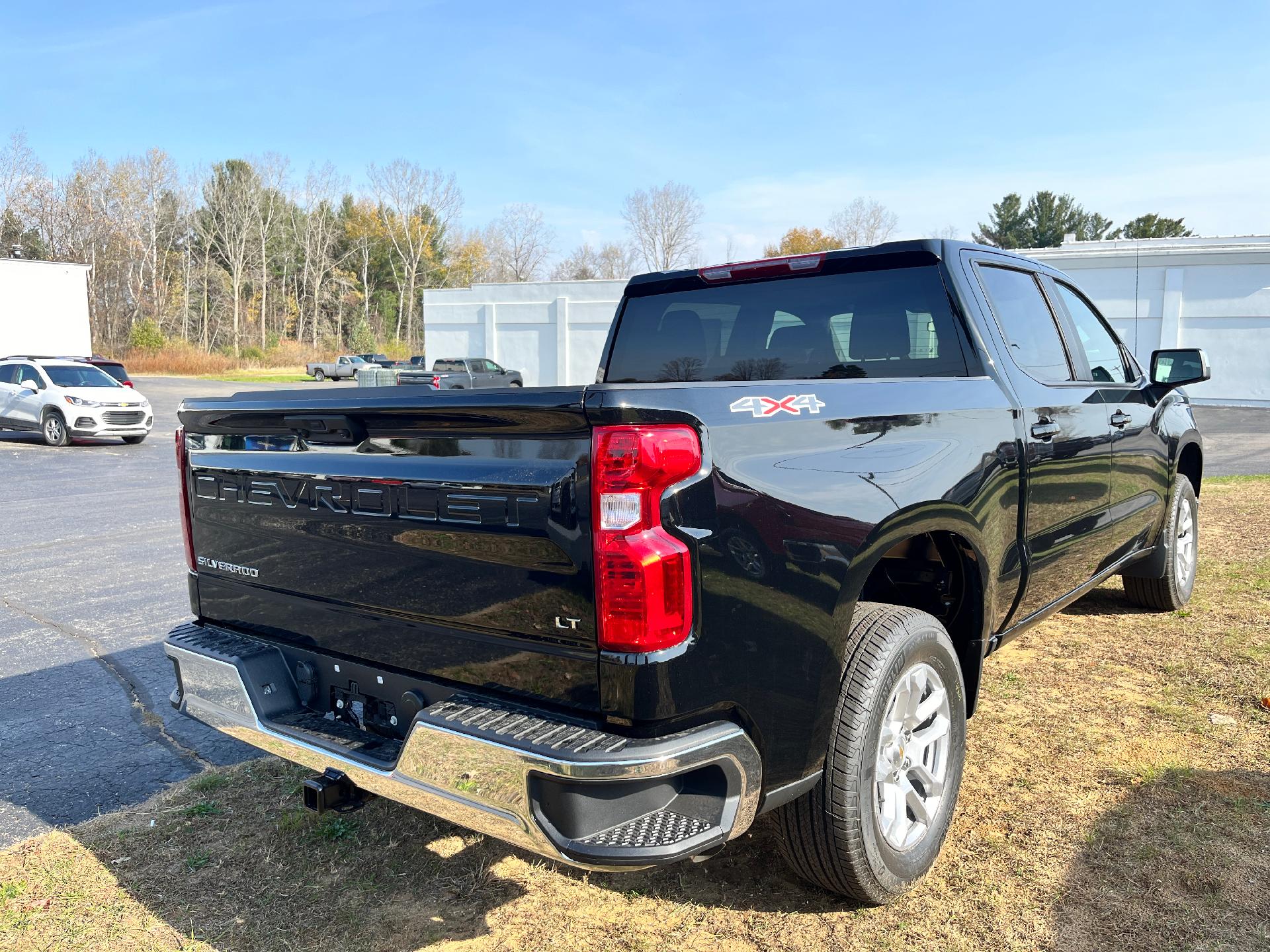 2025 Chevrolet Silverado 1500 Vehicle Photo in CLARE, MI 48617-9414