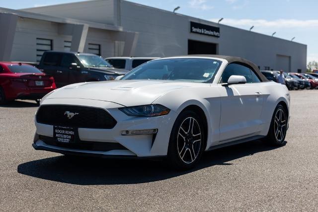 2020 Ford Mustang Vehicle Photo in Tigard, OR 97223