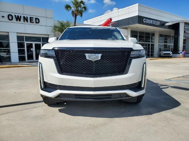 2022 Cadillac Escalade Vehicle Photo in LAFAYETTE, LA 70503-4541