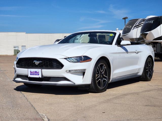 2019 Ford Mustang Vehicle Photo in Cleburne, TX 76033