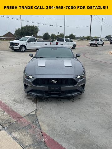 2022 Ford Mustang Vehicle Photo in STEPHENVILLE, TX 76401-3713