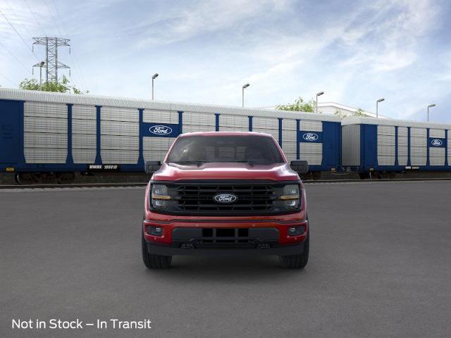 2024 Ford F-150 Vehicle Photo in STEPHENVILLE, TX 76401-3713