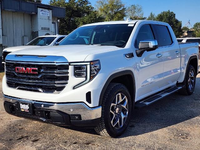 2025 GMC Sierra 1500 Vehicle Photo in PARIS, TX 75460-2116