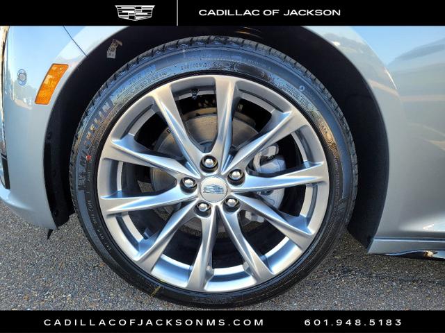 2025 Cadillac CT5 Vehicle Photo in RIDGELAND, MS 39157-4406