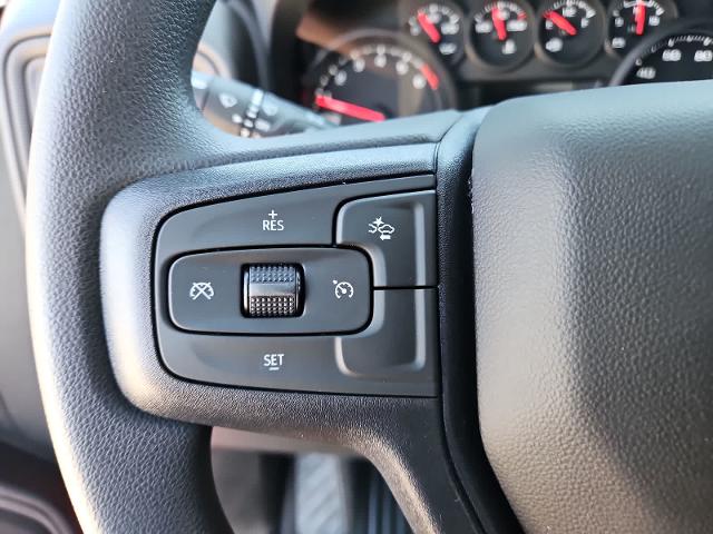 2025 Chevrolet Silverado 1500 Vehicle Photo in SAN ANGELO, TX 76903-5798