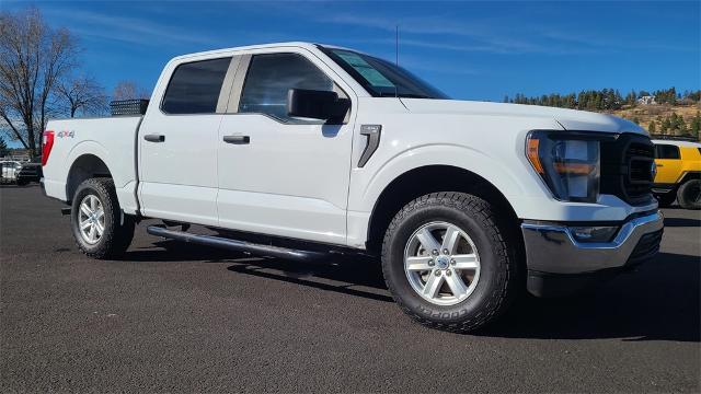 2023 Ford F-150 Vehicle Photo in FLAGSTAFF, AZ 86001-6214