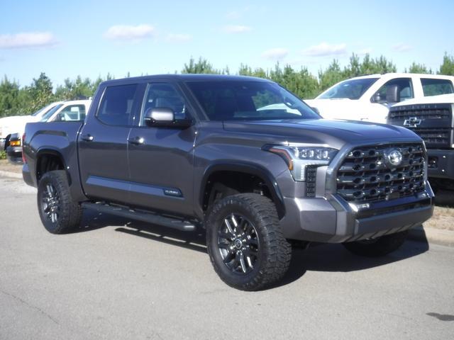 2023 Toyota Tundra 4WD Vehicle Photo in JASPER, GA 30143-8655