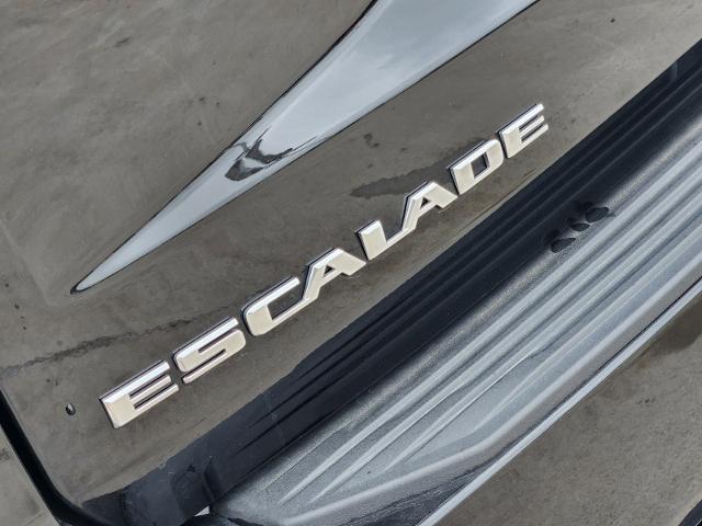 2023 Cadillac Escalade ESV Vehicle Photo in Stephenville, TX 76401-3713