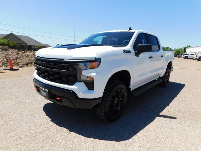 2024 Chevrolet Silverado 1500 Vehicle Photo in GATESVILLE, TX 76528-2745