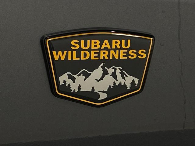 2022 Subaru Outback Vehicle Photo in Appleton, WI 54913