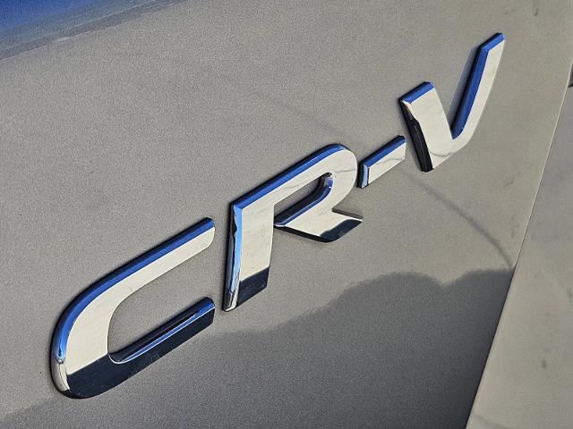 2019 Honda CR-V Vehicle Photo in Terrell, TX 75160