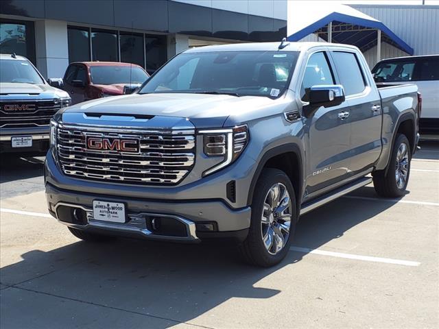 2025 GMC Sierra 1500 Vehicle Photo in Denton, TX 76205