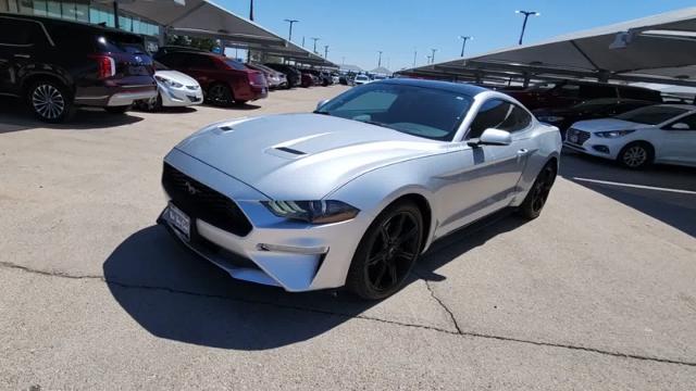 2019 Ford Mustang Vehicle Photo in Odessa, TX 79762