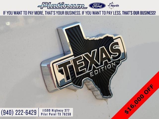 2024 Ford F-150 Vehicle Photo in Pilot Point, TX 76258