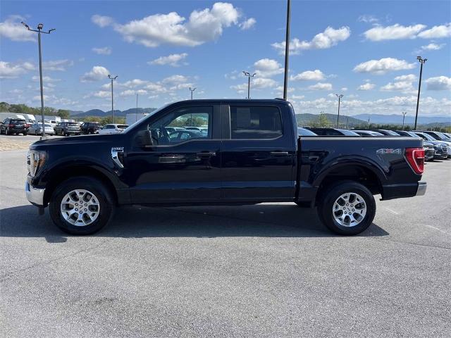 2023 Ford F-150 Vehicle Photo in ALCOA, TN 37701-3235