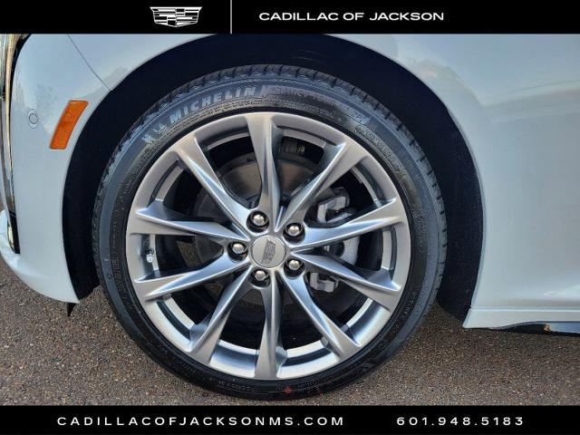 2025 Cadillac CT5 Vehicle Photo in RIDGELAND, MS 39157-4406