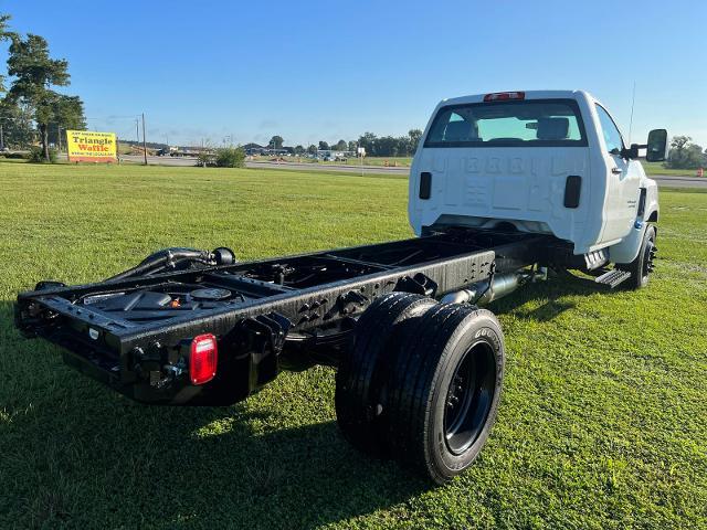 2023 Chevrolet Silverado 4500 HD Vehicle Photo in DUNN, NC 28334-8900