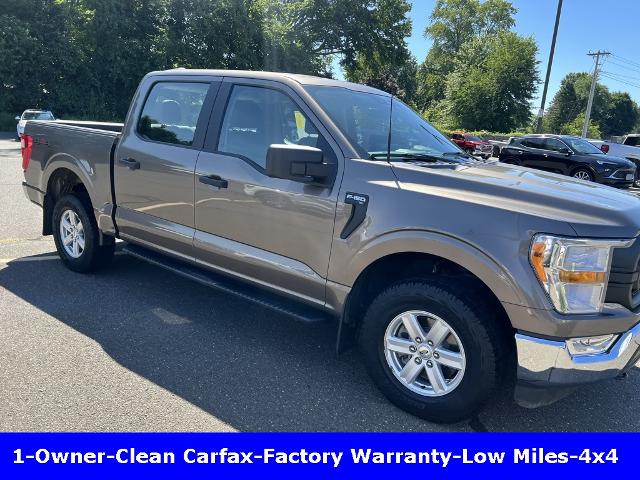 2021 Ford F-150 Vehicle Photo in CHICOPEE, MA 01020-5001