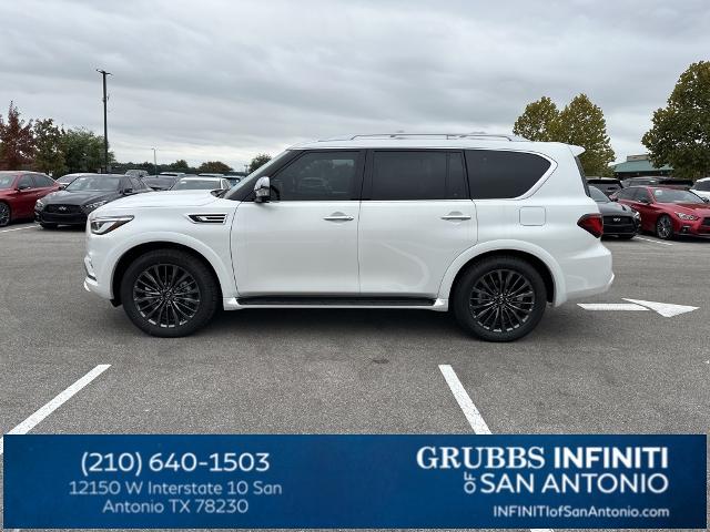 2024 INFINITI QX80 Vehicle Photo in San Antonio, TX 78230