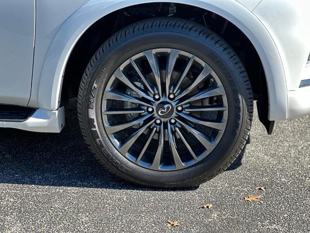 2024 INFINITI QX80 Vehicle Photo in San Antonio, TX 78230