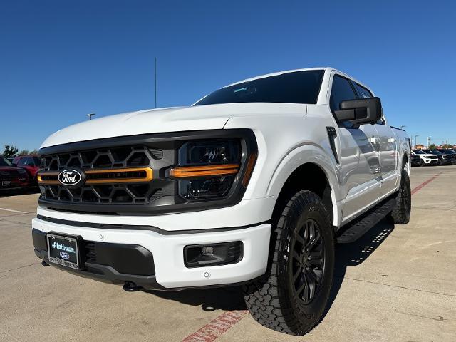 2024 Ford F-150 Vehicle Photo in Terrell, TX 75160