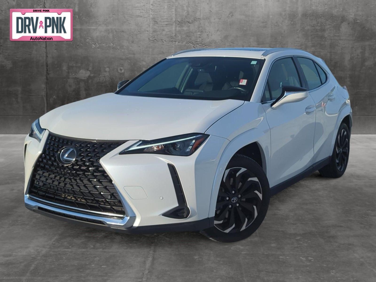 2023 Lexus UX 250h Vehicle Photo in Ft. Myers, FL 33907