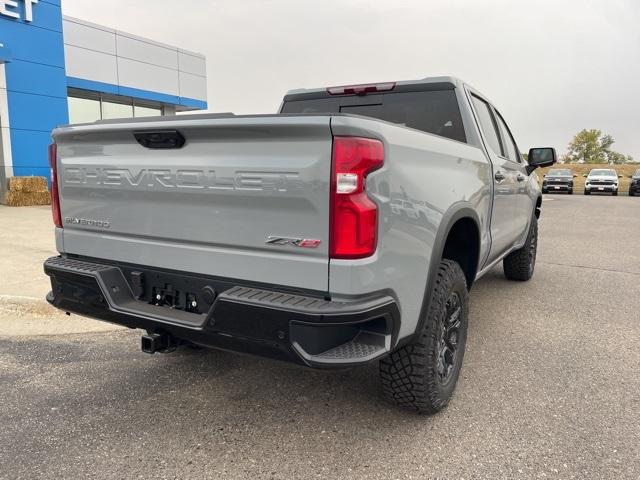 2025 Chevrolet Silverado 1500 Vehicle Photo in GLENWOOD, MN 56334-1123