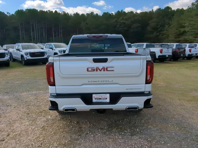 2025 GMC Sierra 1500 Vehicle Photo in ALBERTVILLE, AL 35950-0246