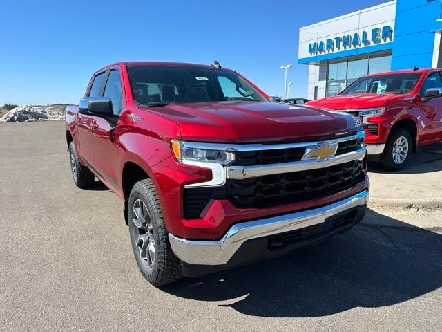 2024 Chevrolet Silverado 1500 Vehicle Photo in GLENWOOD, MN 56334-1123