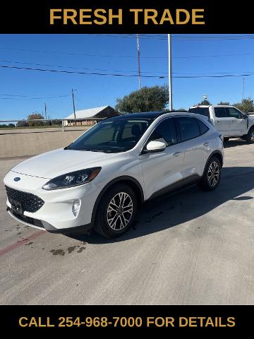 2020 Ford Escape Vehicle Photo in STEPHENVILLE, TX 76401-3713