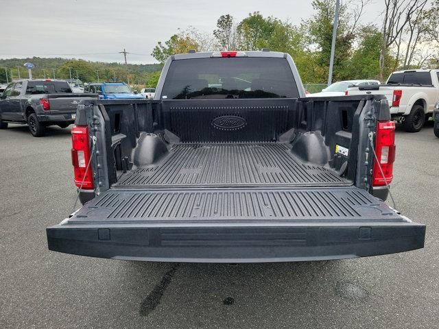 2021 Ford F-150 Vehicle Photo in Boyertown, PA 19512