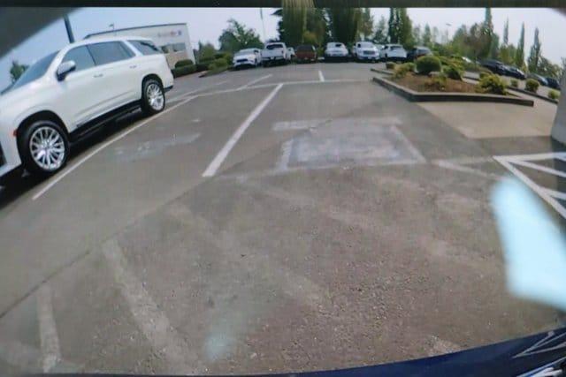 2019 Tesla Model 3 Vehicle Photo in Salem, OR 97301