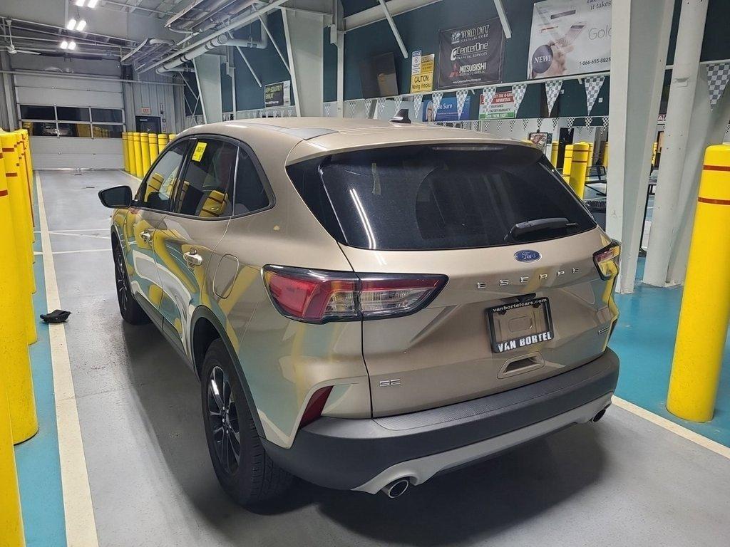 2020 Ford Escape Vehicle Photo in AKRON, OH 44320-4088