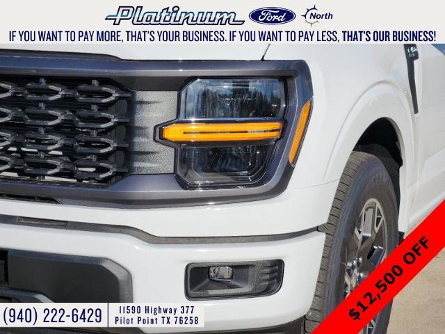 2024 Ford F-150 Vehicle Photo in Pilot Point, TX 76258