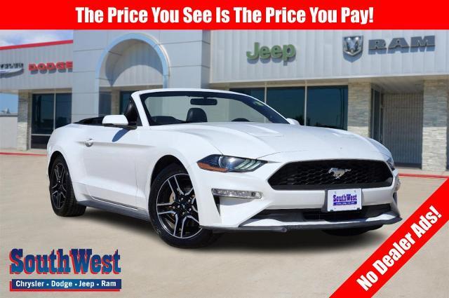 2019 Ford Mustang Vehicle Photo in Cleburne, TX 76033