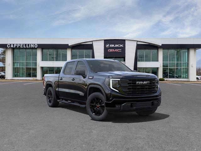 2024 GMC Sierra 1500 Vehicle Photo in WILLIAMSVILLE, NY 14221-2883