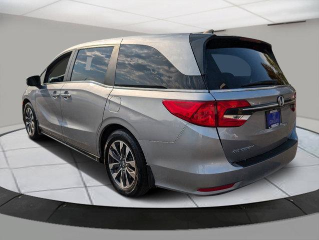 2023 Honda Odyssey Vehicle Photo in Greeley, CO 80634-8763