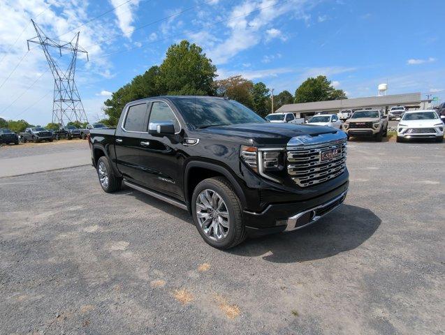 2025 GMC Sierra 1500 Vehicle Photo in ALBERTVILLE, AL 35950-0246