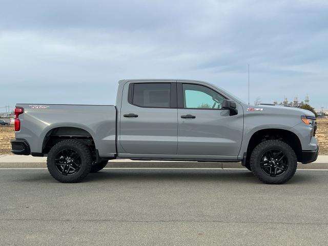 2025 Chevrolet Silverado 1500 Vehicle Photo in PITTSBURG, CA 94565-7121