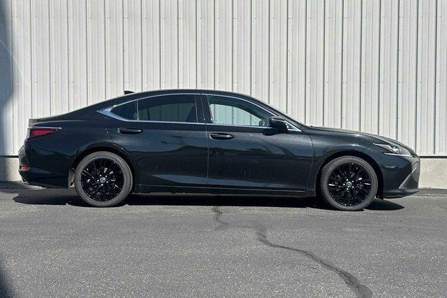 2019 Lexus ES Vehicle Photo in BOISE, ID 83705-3761