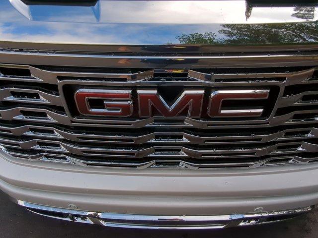 2025 GMC Sierra 1500 Vehicle Photo in ALBERTVILLE, AL 35950-0246